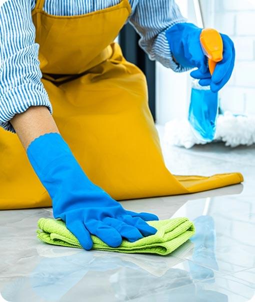 Cleaning Professional at work